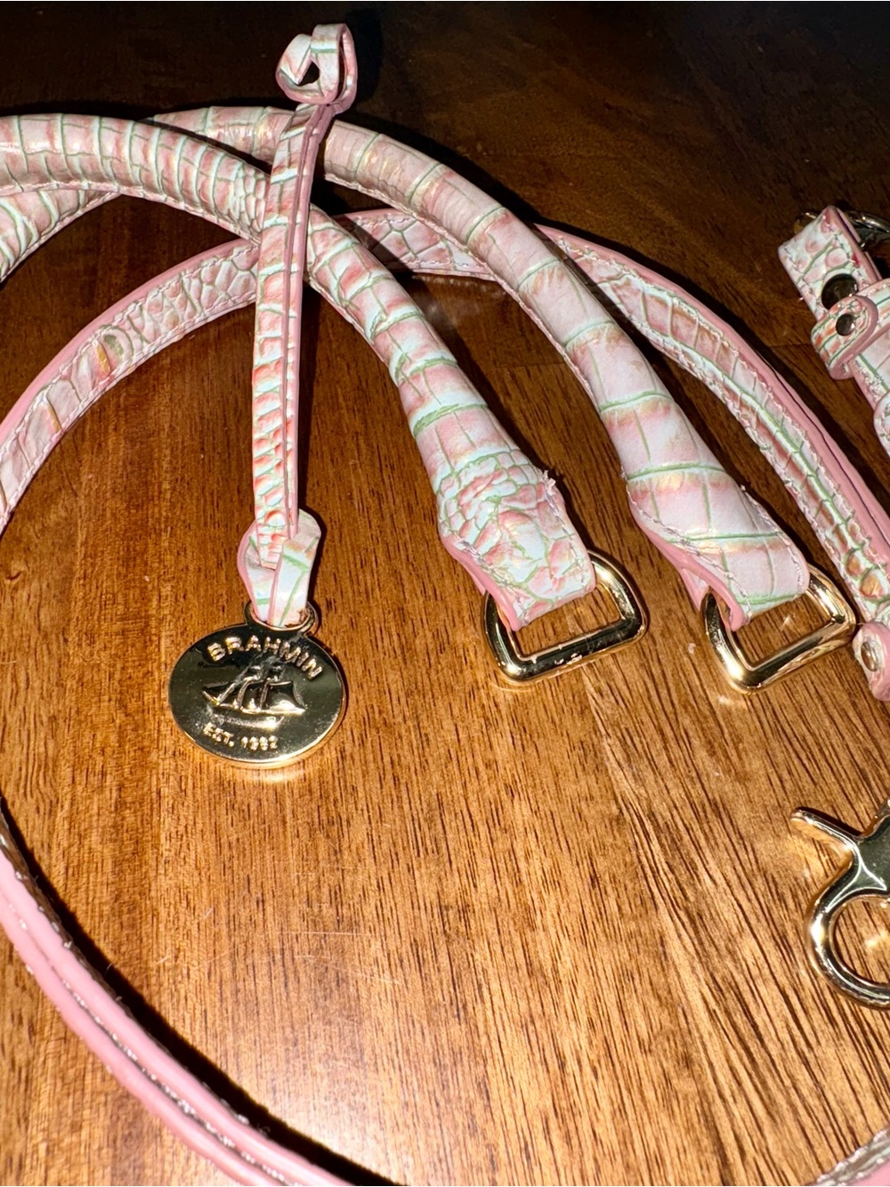 Brahmin Flirty Ombré—Pink/Green Croc-Texture Bag Straps with Gold Hardware - Picture 3 of 13